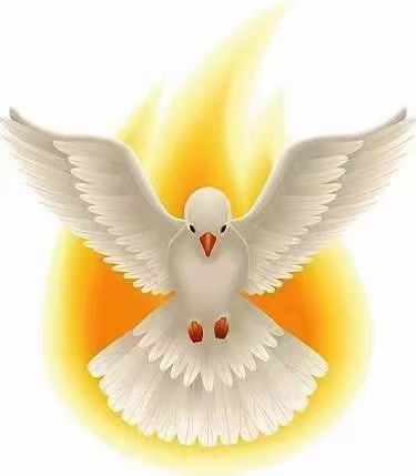 教宗关于圣神的要理讲授：坚振圣事不是“临终的傅油”，而是积极生活的开始（10月30日））