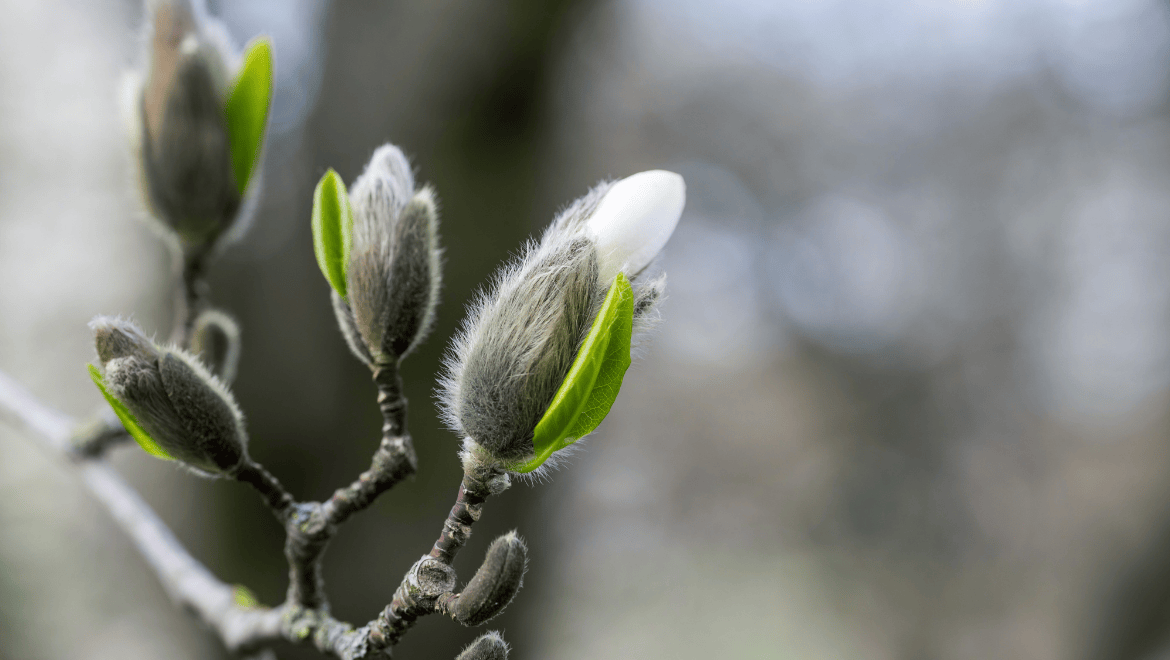 教宗要理讲授：基督的复活与当代世界的挑战（10月15日）