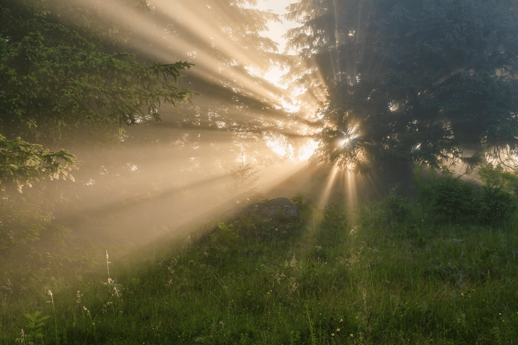 教宗要理讲授：梵二大公会议文件《天主的启示》教义宪章——圣子在天主启示中的角色（1月21日）