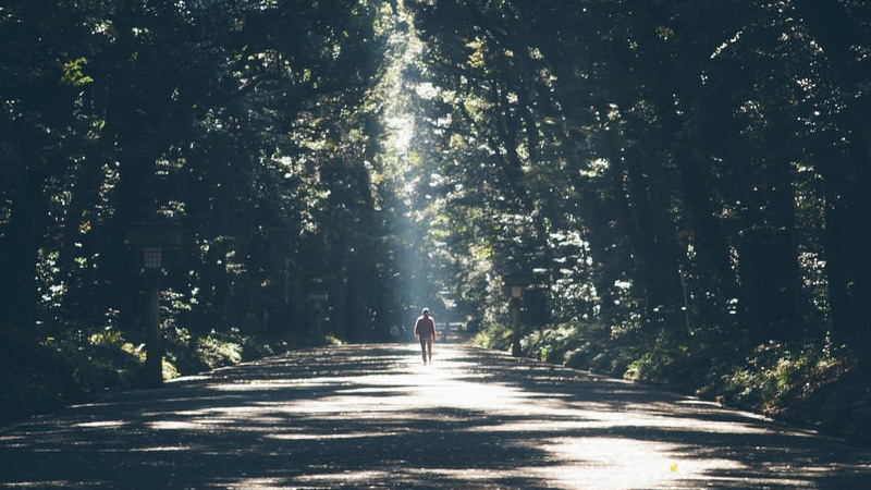 教宗要理讲授：梵二大公会议文件《天主的启示》教义宪章——天主圣言在教会生活中的作用（2月11日））